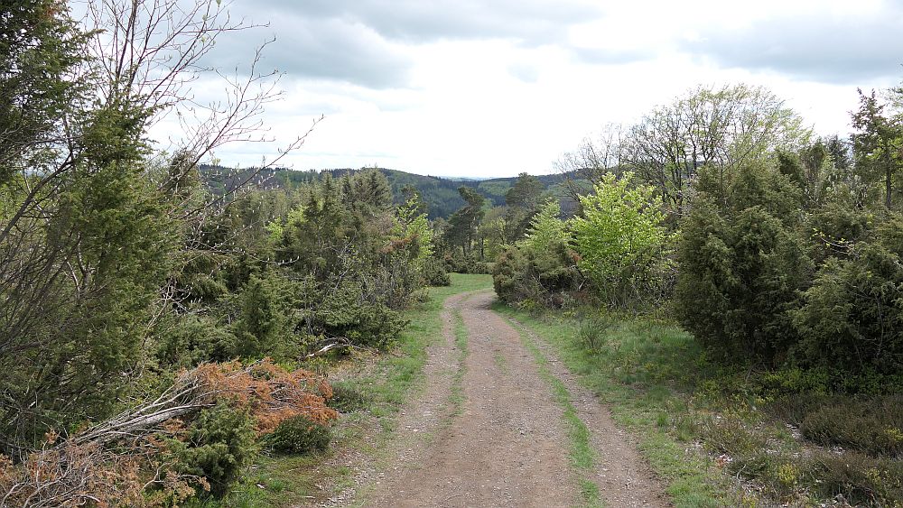 Bergheiden- und Wacholderweg