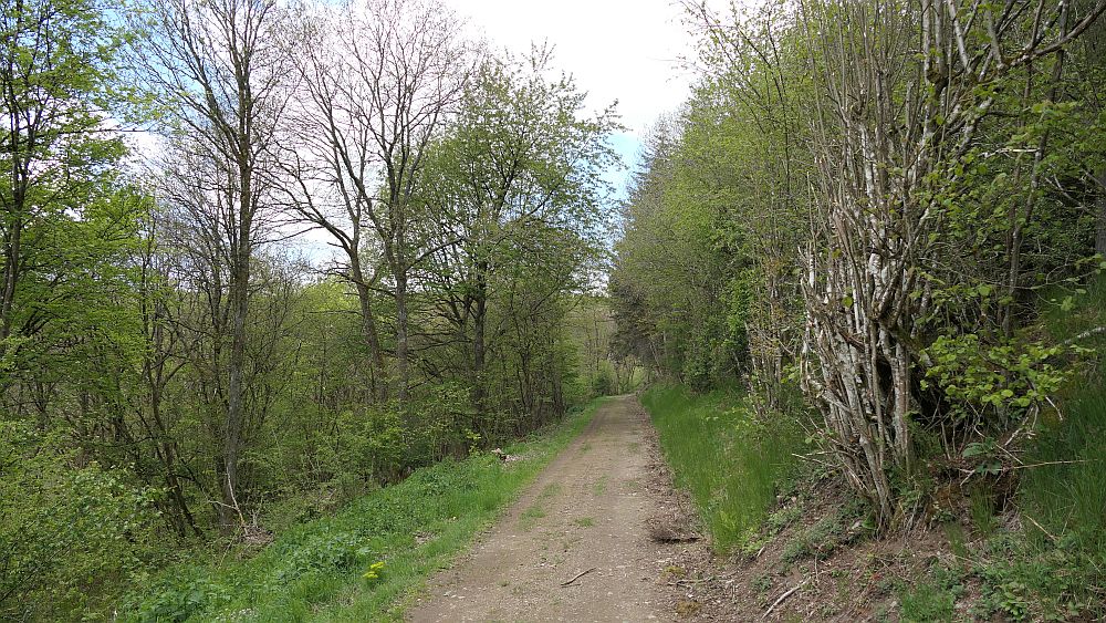 Bergheiden- und Wacholderweg