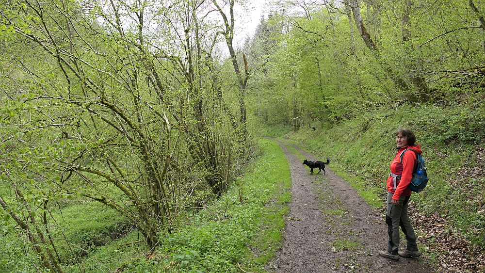 Bergheiden- und Wacholderweg