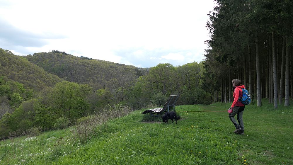 Bergheiden- und Wacholderweg