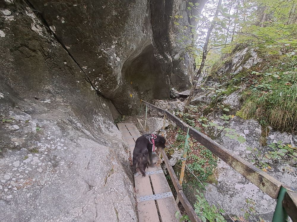 Tscheppaschlucht