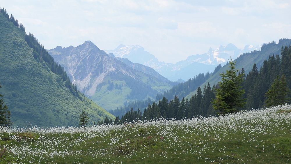 Bergstation Uga Express nach Damuels