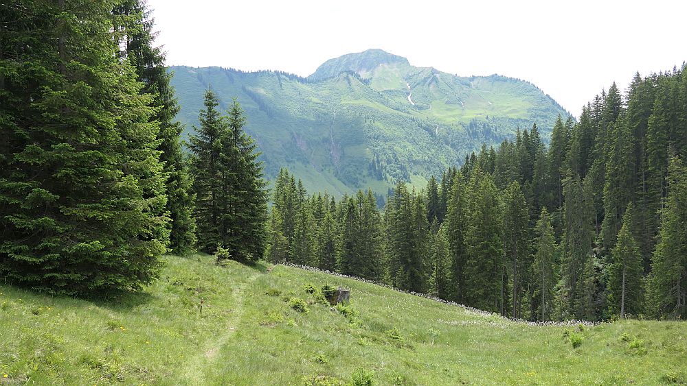 Bergstation Uga Express nach Damuels