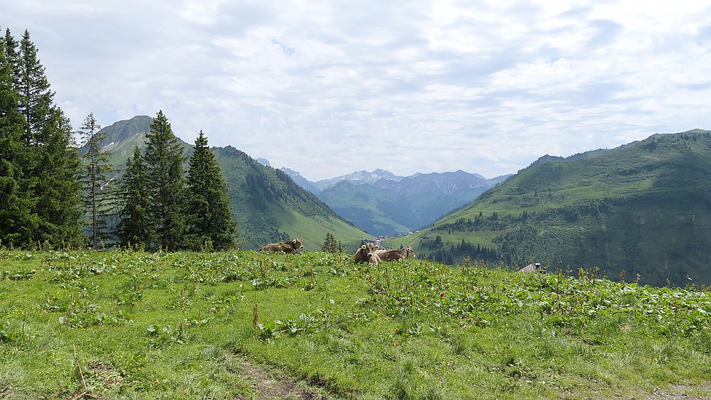 Bergstation Uga Express nach Damuels