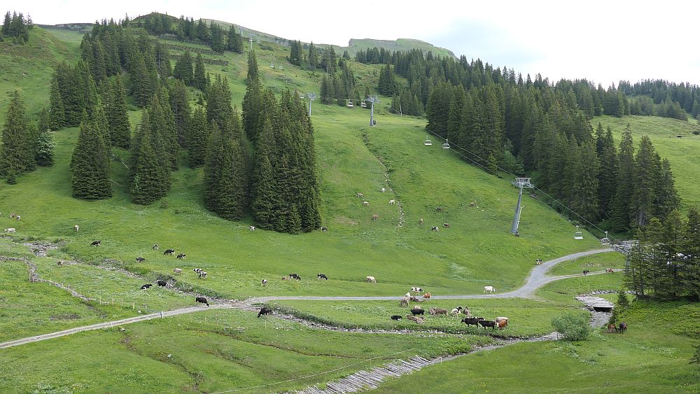 Bergstation Uga Express nach Damuels
