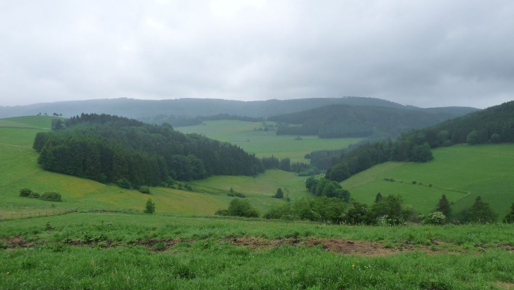Uplandsteig