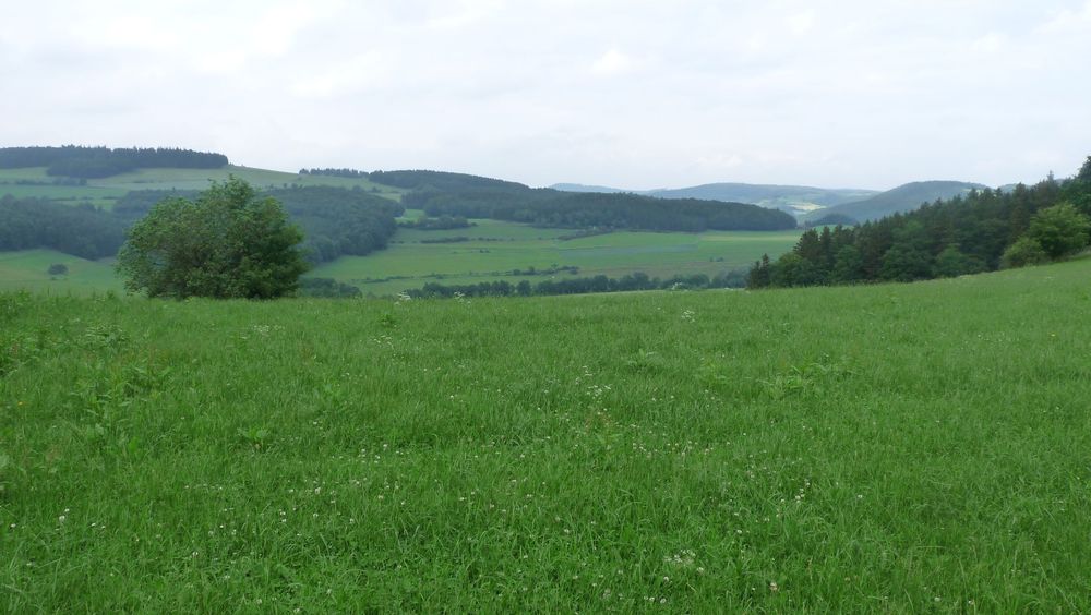 Uplandsteig