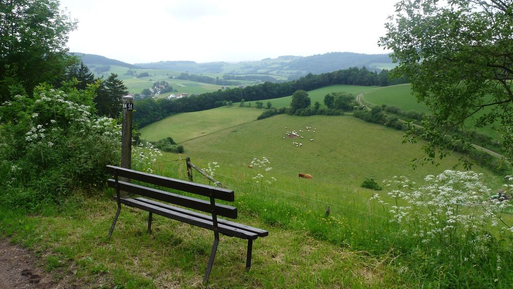 Uplandsteig