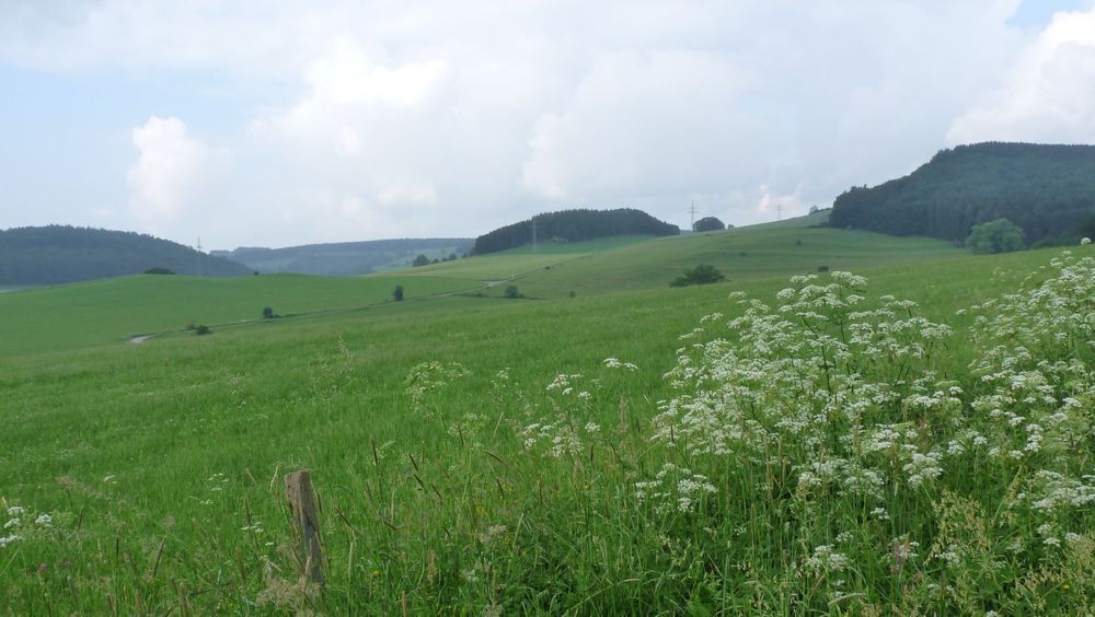 Uplandsteig