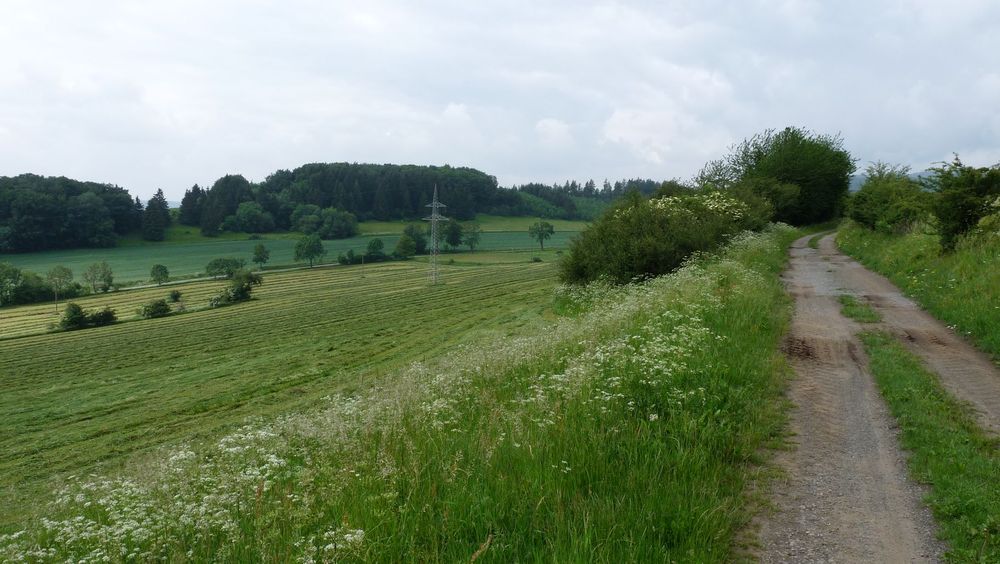 Uplandsteig