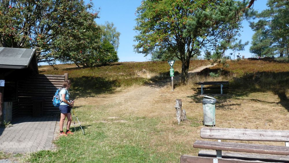 Uplandsteig