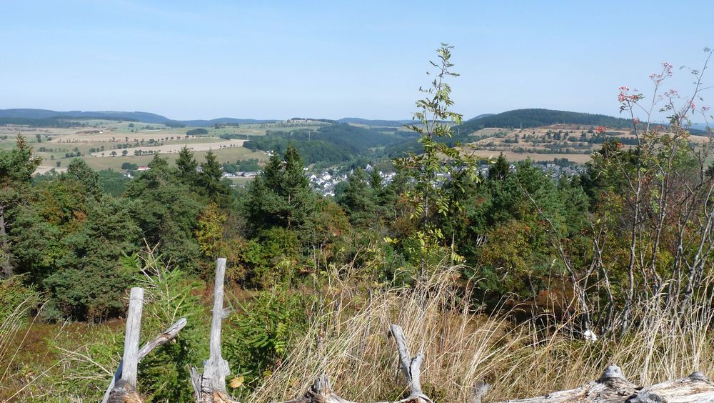 Uplandsteig