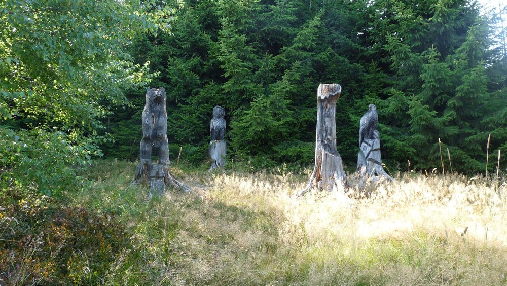 Uplandsteig