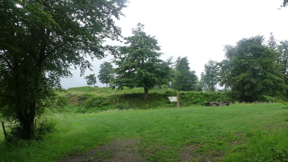 Uplandsteig