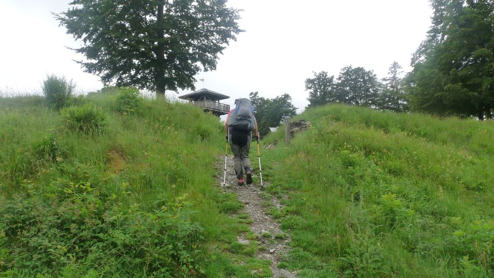 Uplandsteig
