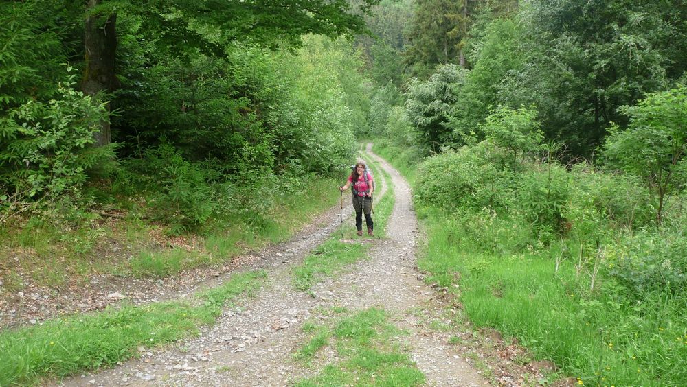 UplandNsteig
