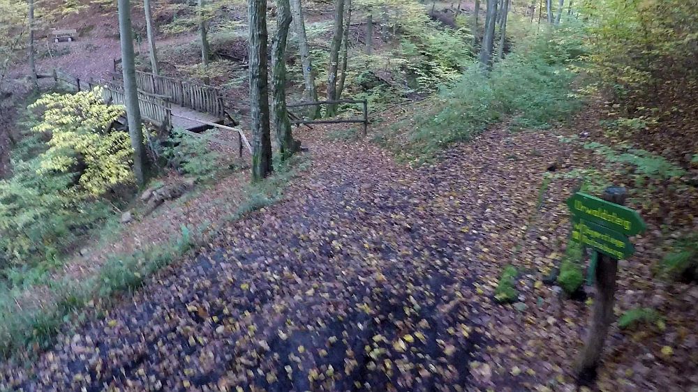 Urwaldsteig
