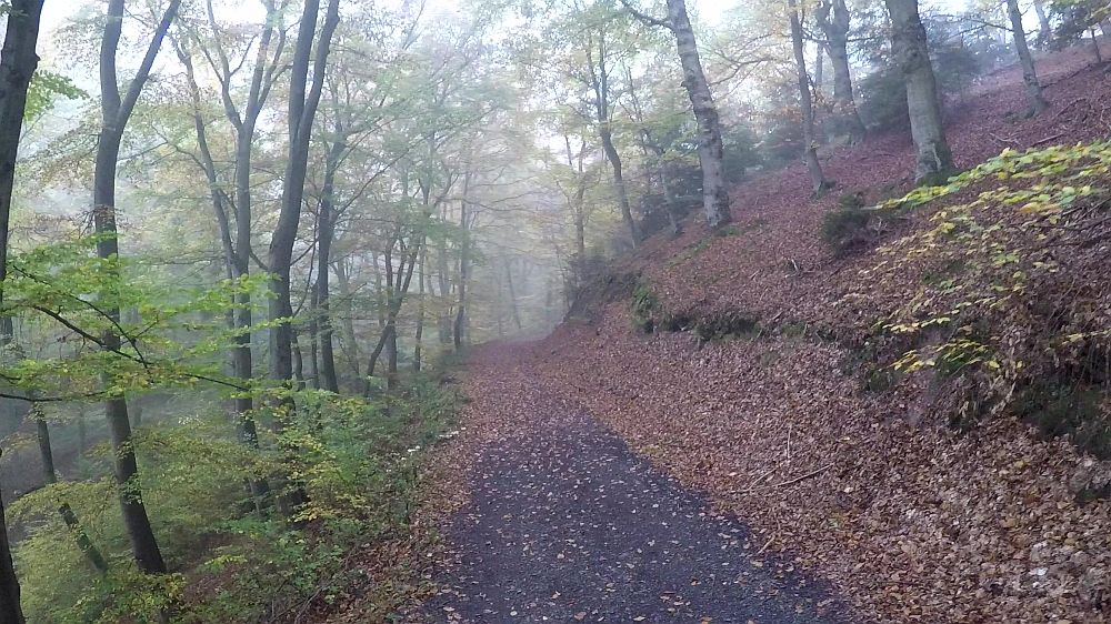 Urwaldsteig
