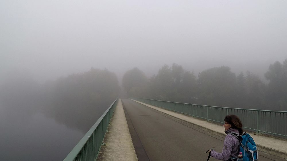 Urwaldsteig