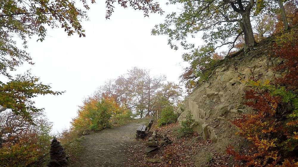 Urwaldsteig