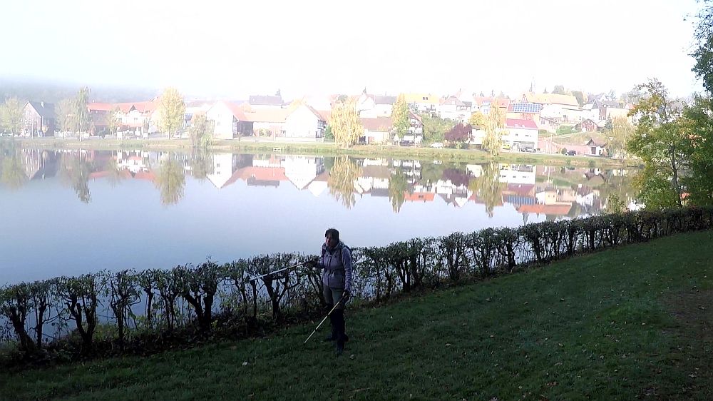 Urwaldsteig