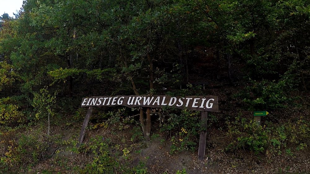 Urwaldsteig