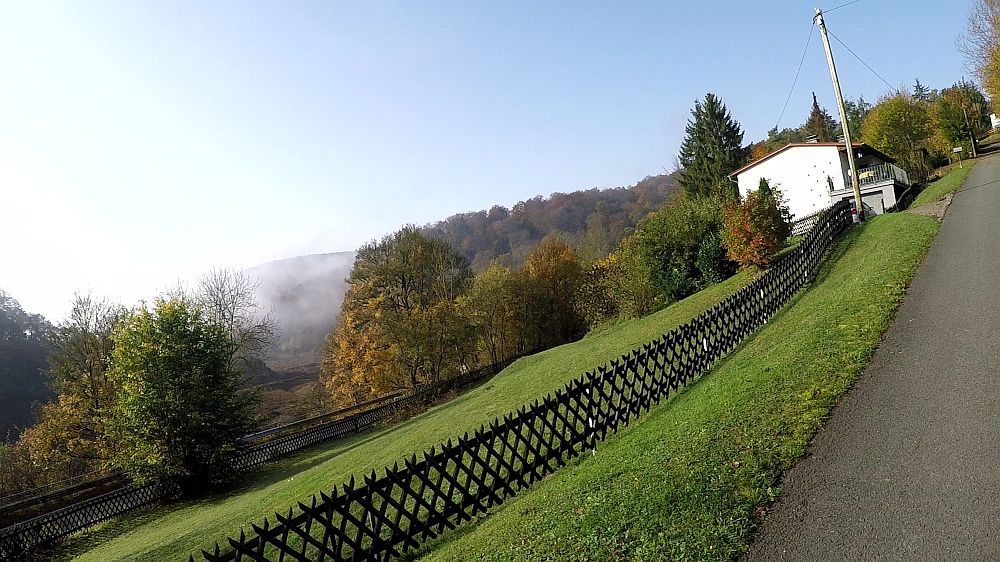 Urwaldsteig