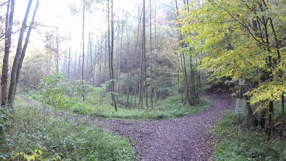 Urwaldsteig
