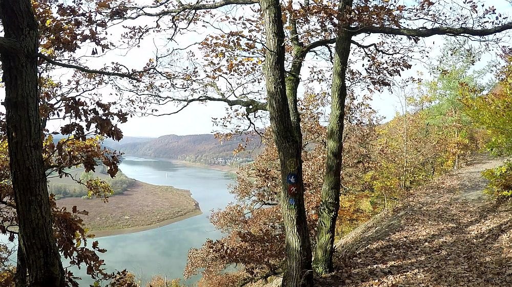 Urwaldsteig