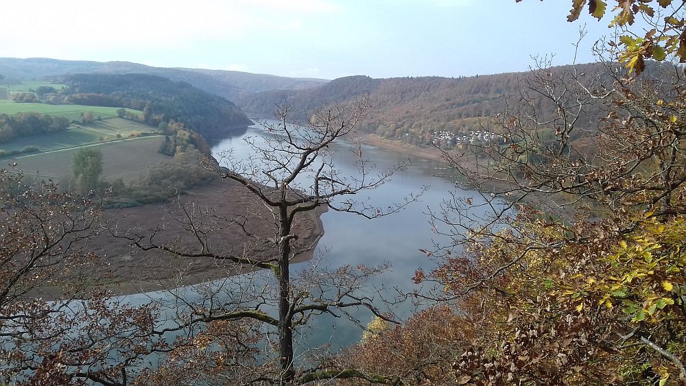 Urwaldsteig