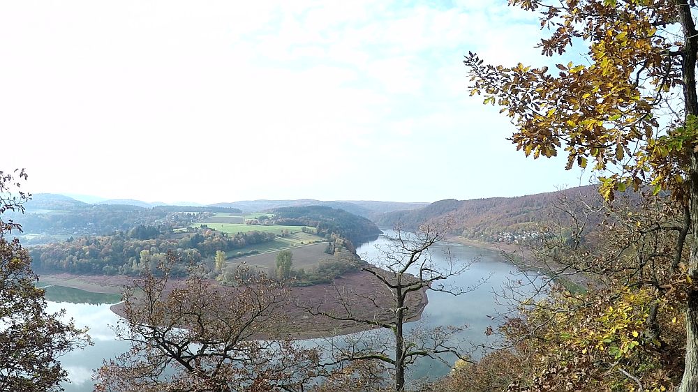Urwaldsteig