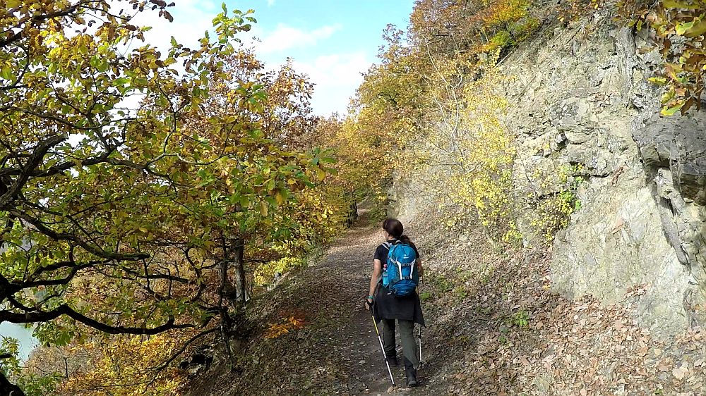 Urwaldsteig