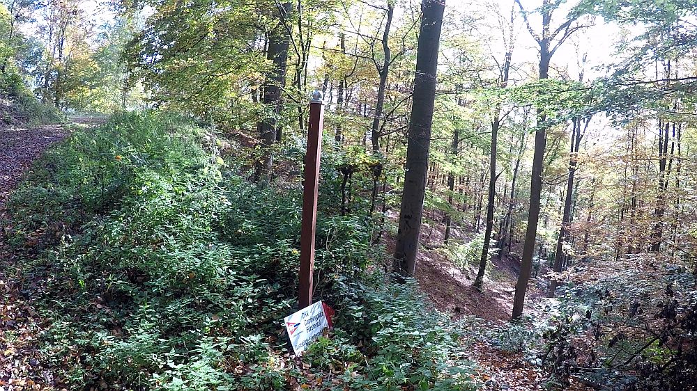 Urwaldsteig