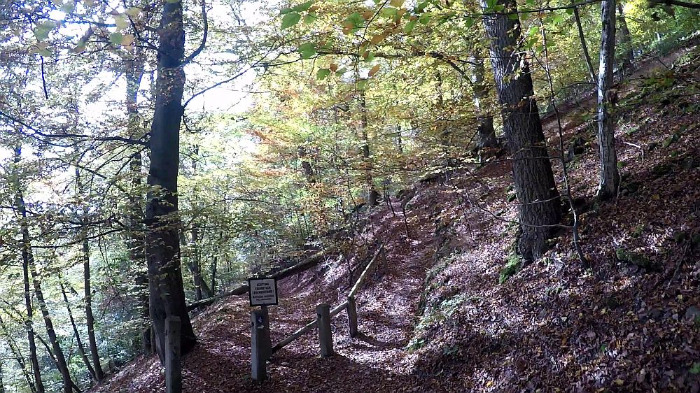 Urwaldsteig