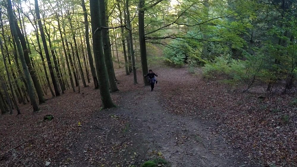 Urwaldsteig