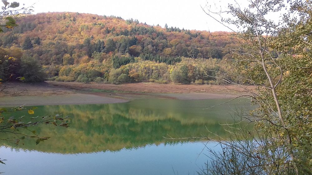 Urwaldsteig