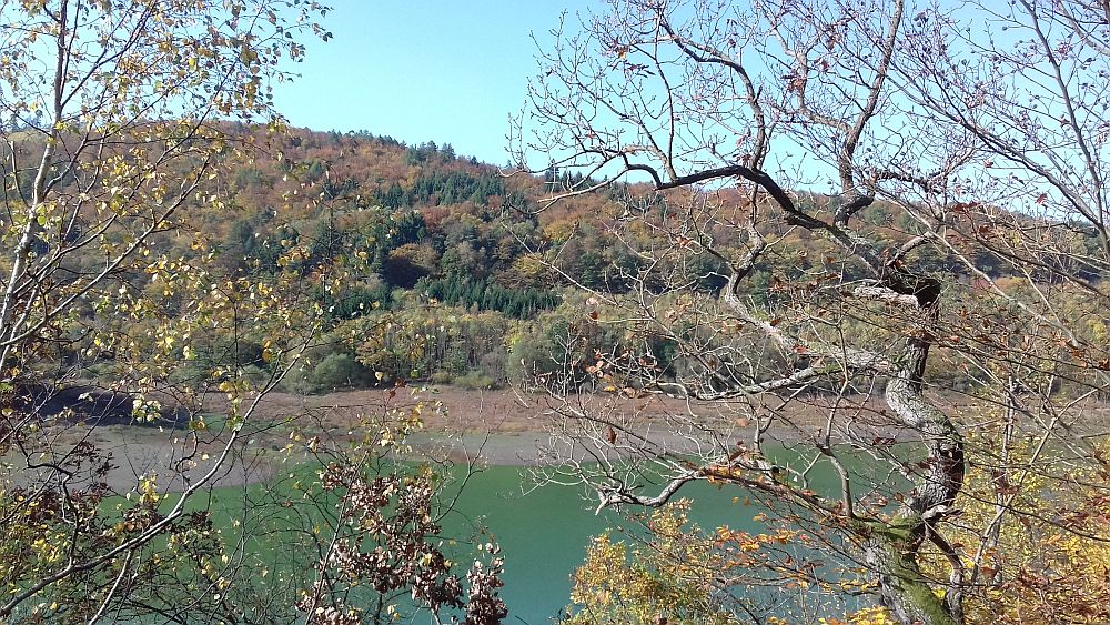Urwaldsteig