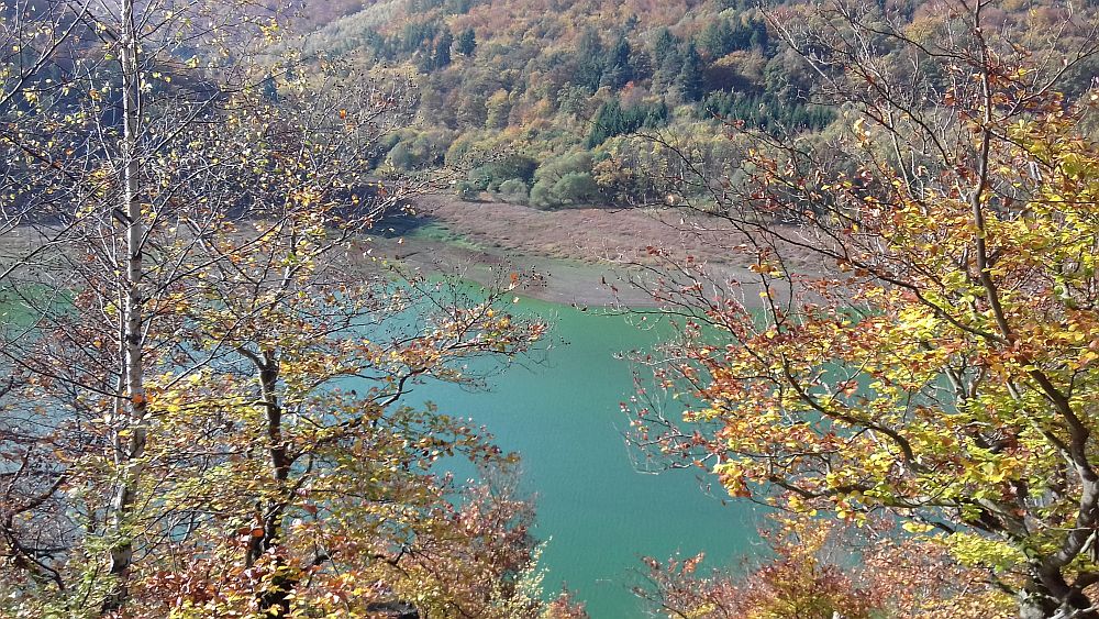 Urwaldsteig
