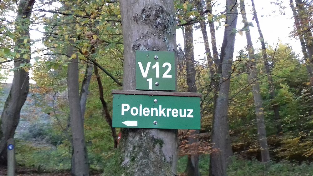 Urwaldsteig