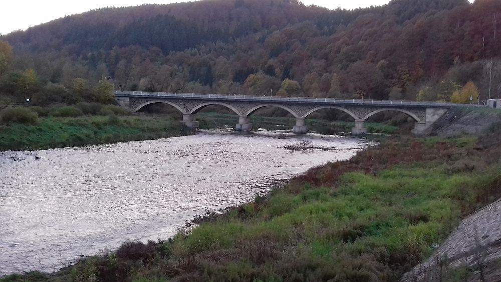 Urwaldsteig