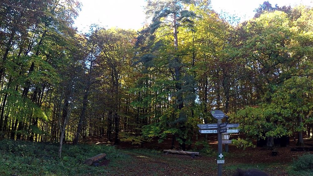 Urwaldsteig
