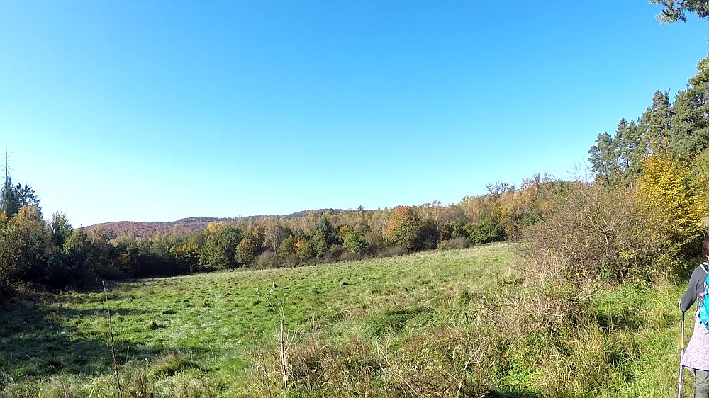 Urwaldsteig