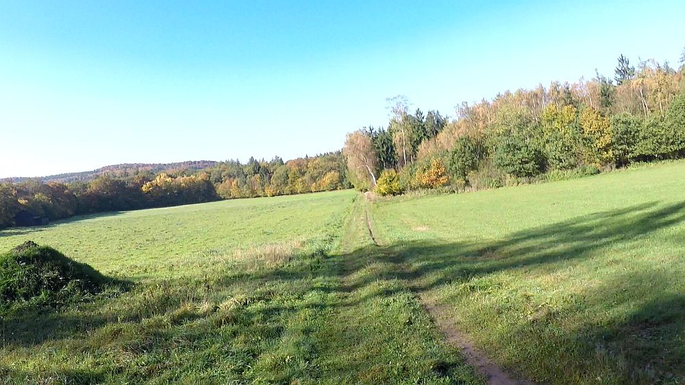 Urwaldsteig