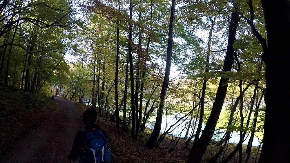 Urwaldsteig