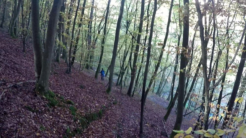 Urwaldsteig