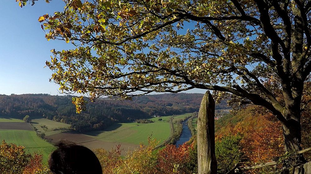 Urwaldsteig