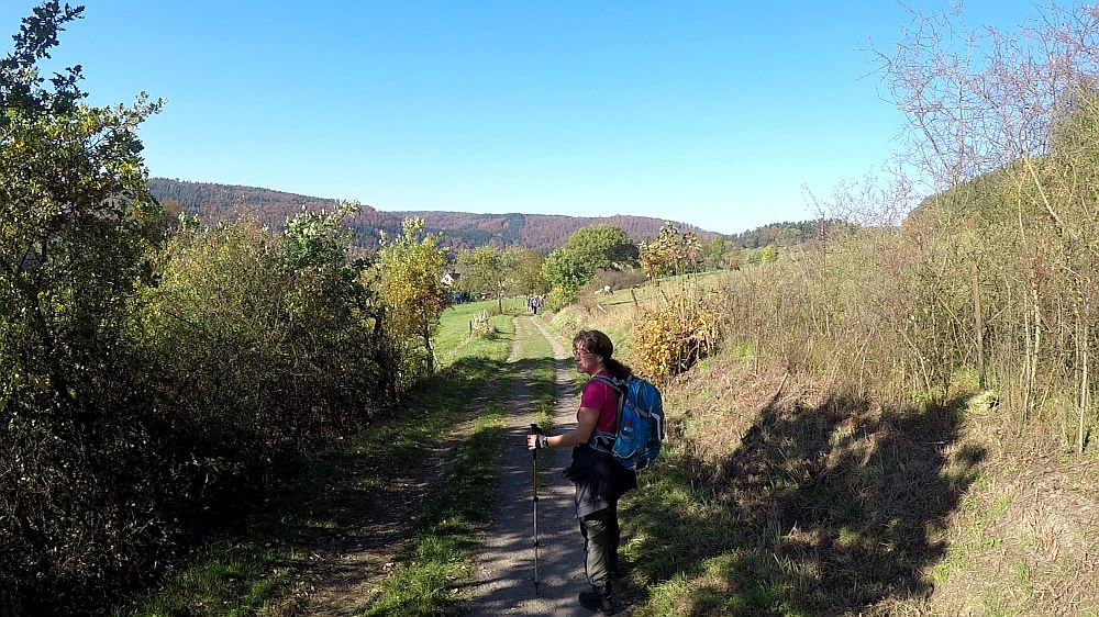 Urwaldsteig