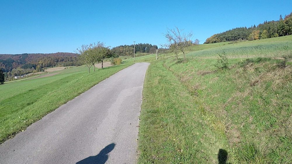 Urwaldsteig
