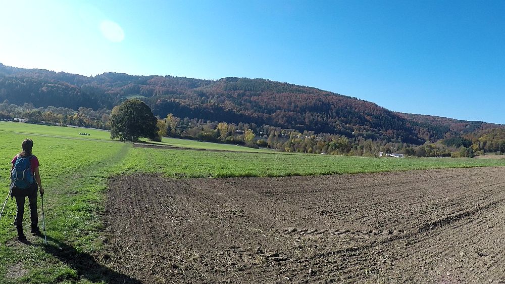 Urwaldsteig