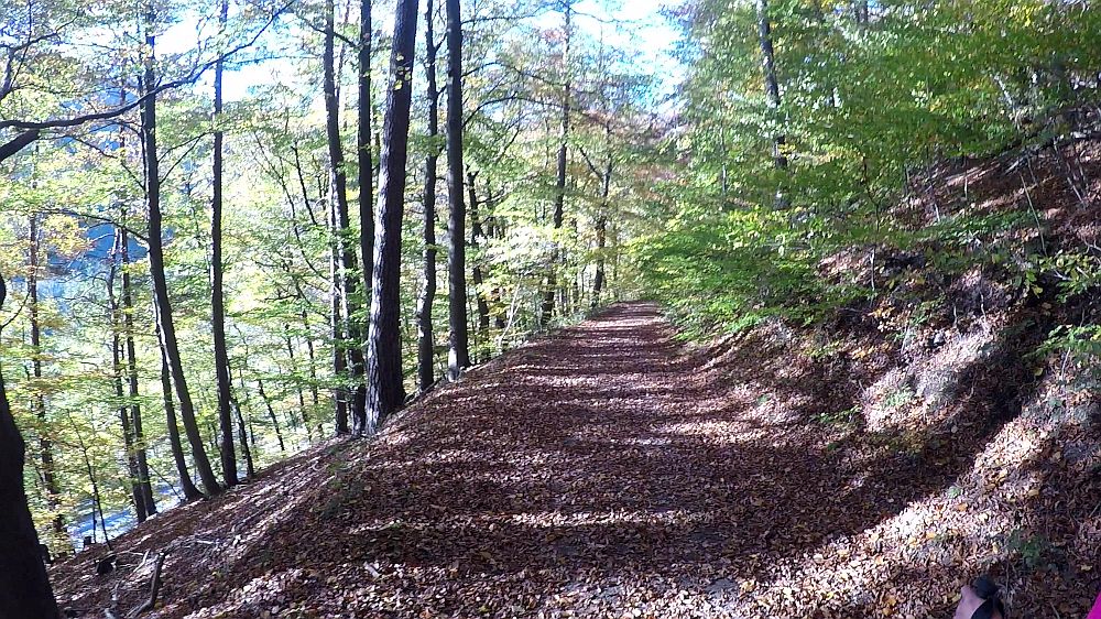 Urwaldsteig